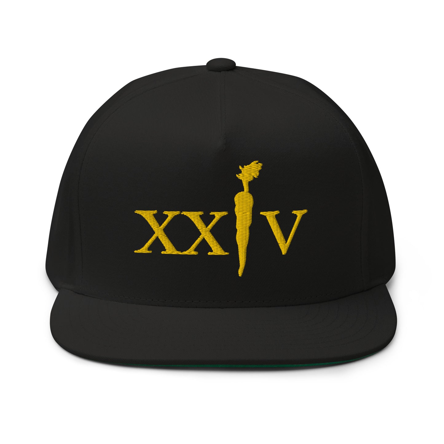 XXIV