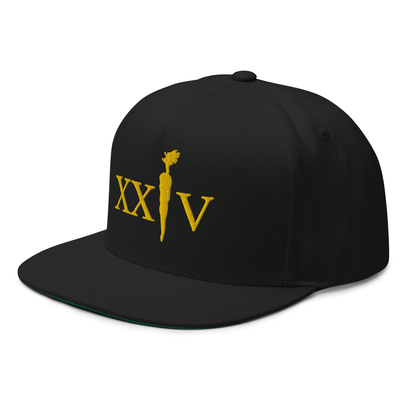 XXIV